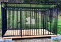 Wolfstalh.de_3.jpg